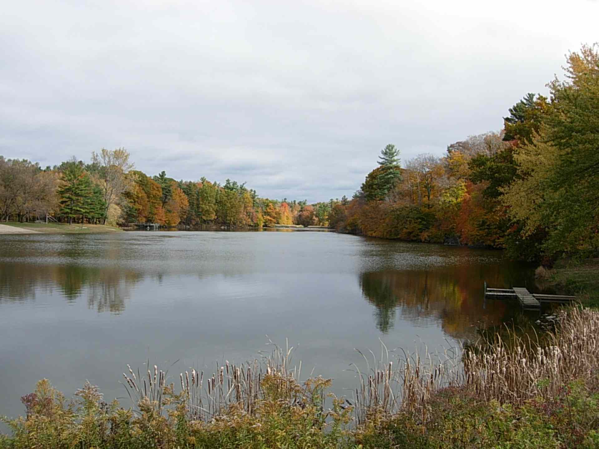 Springwater Conservation Area Great Lakes Guide
