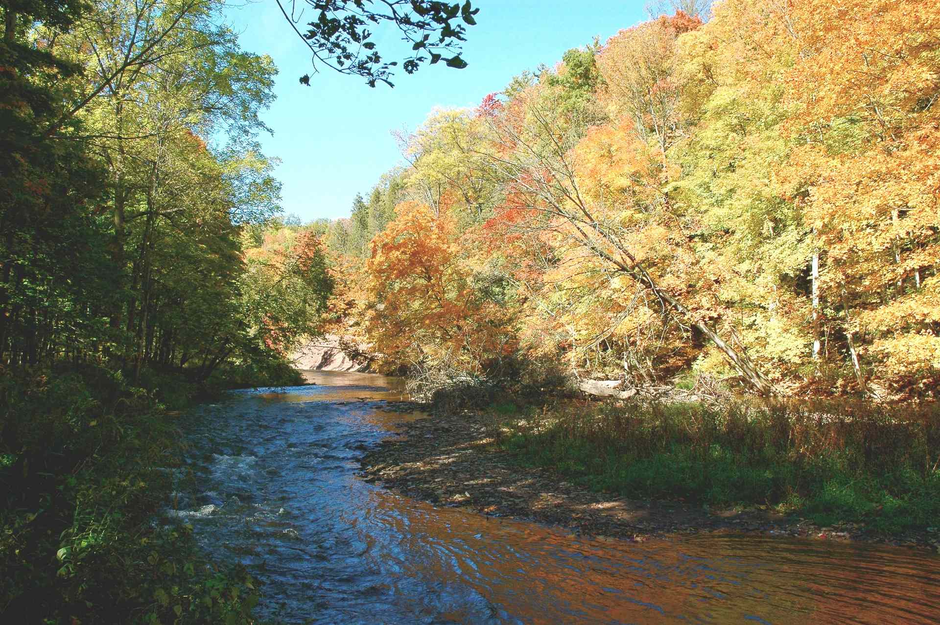 Bronte Creek Provincial Park Great Lakes Guide