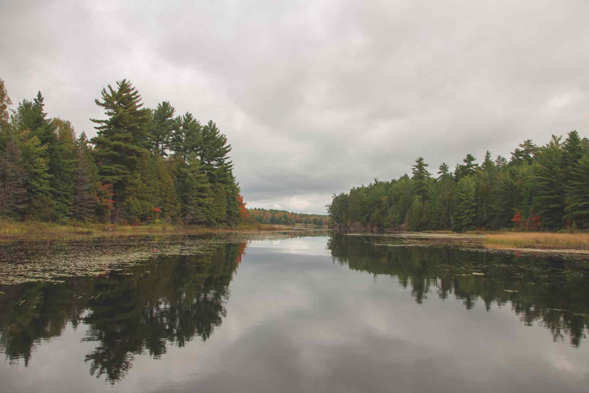 Marten River Provincial Park Great Lakes Guide