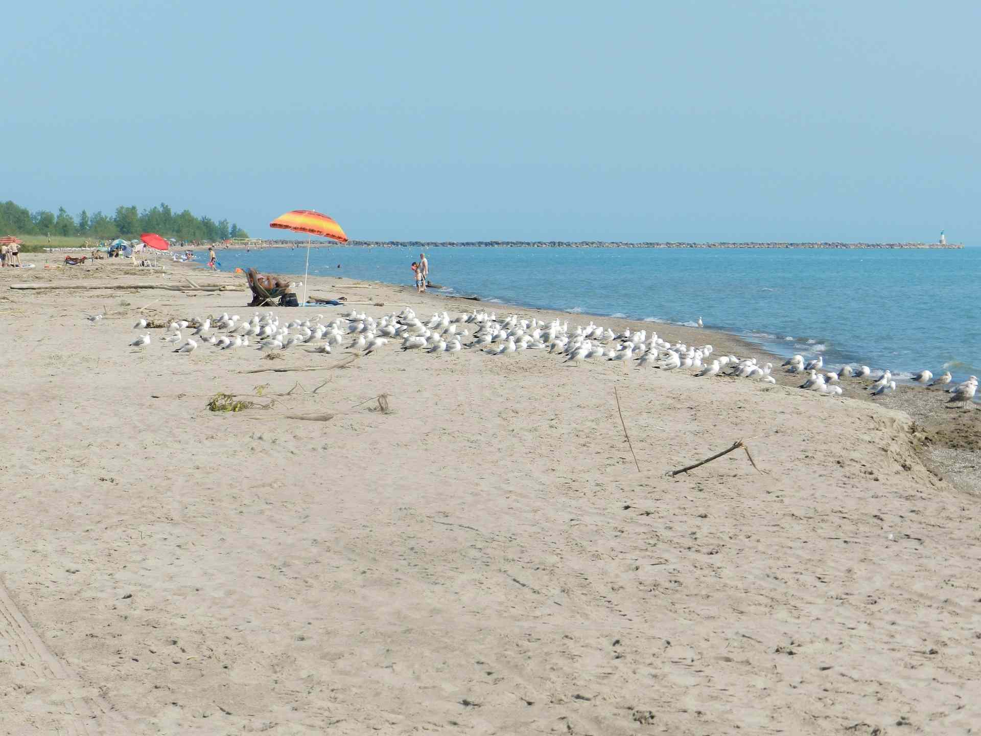 Port Burwell Provincial Park Great Lakes Guide