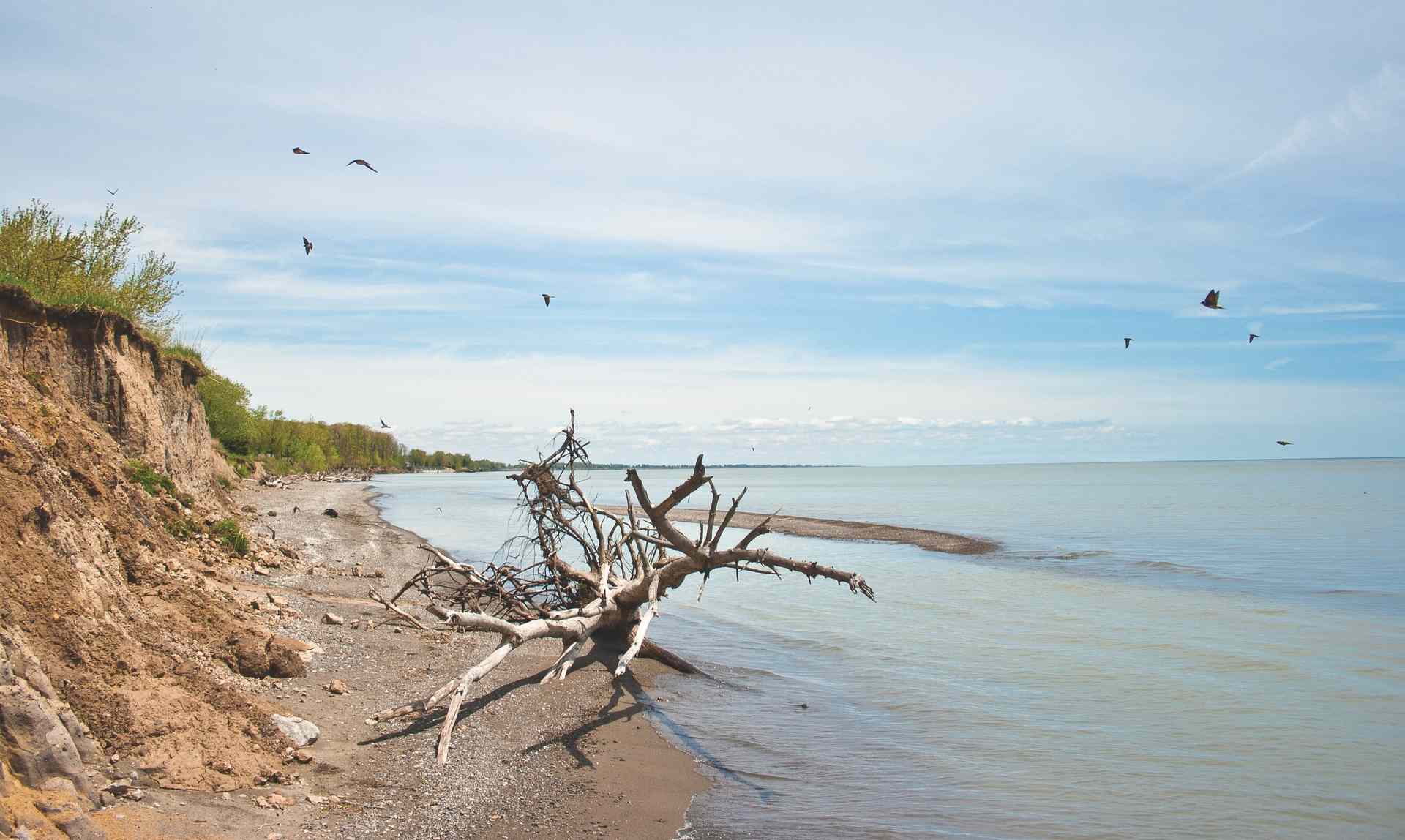 Wheatley Provincial Park | Great Lakes Guide