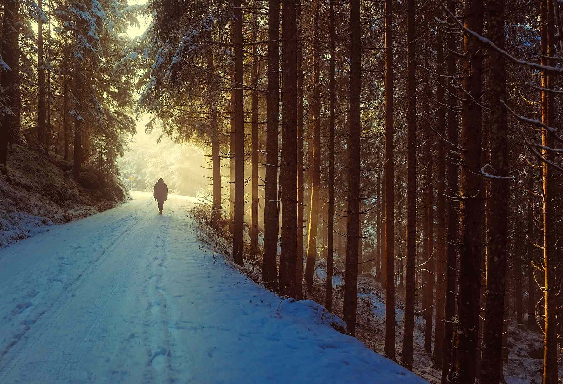 Hike The Top 5 Winter Trails Near Toronto Great Lakes Guide