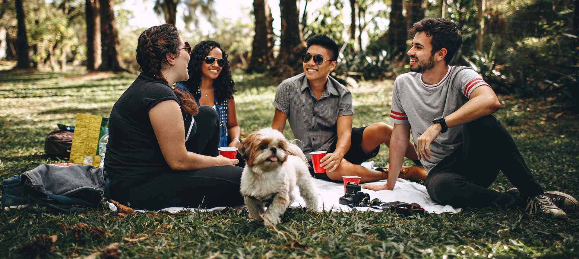 Discover our top 5 places to picnic by the water in the GTA Great